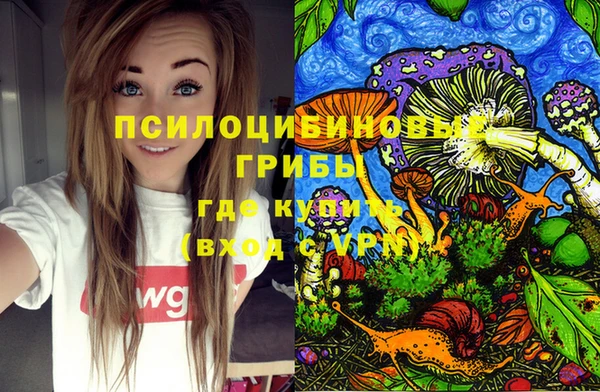 не бодяженный Чекалин