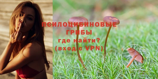 ALPHA-PVP Чегем
